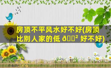 房顶不平风水好不好(房顶比别人家的低 🌲 好不好)
